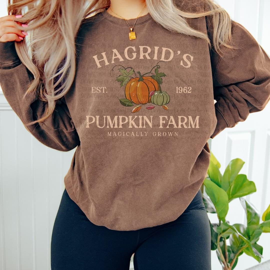 Hagrid's Pumpkin Farm